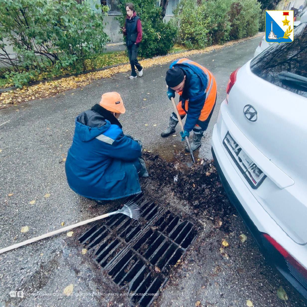 Бригады «Водоканала» прочищают ливневку от листвы по всему городу Бригады «Водоканала» прочищают ливневку от листвы по всему городу