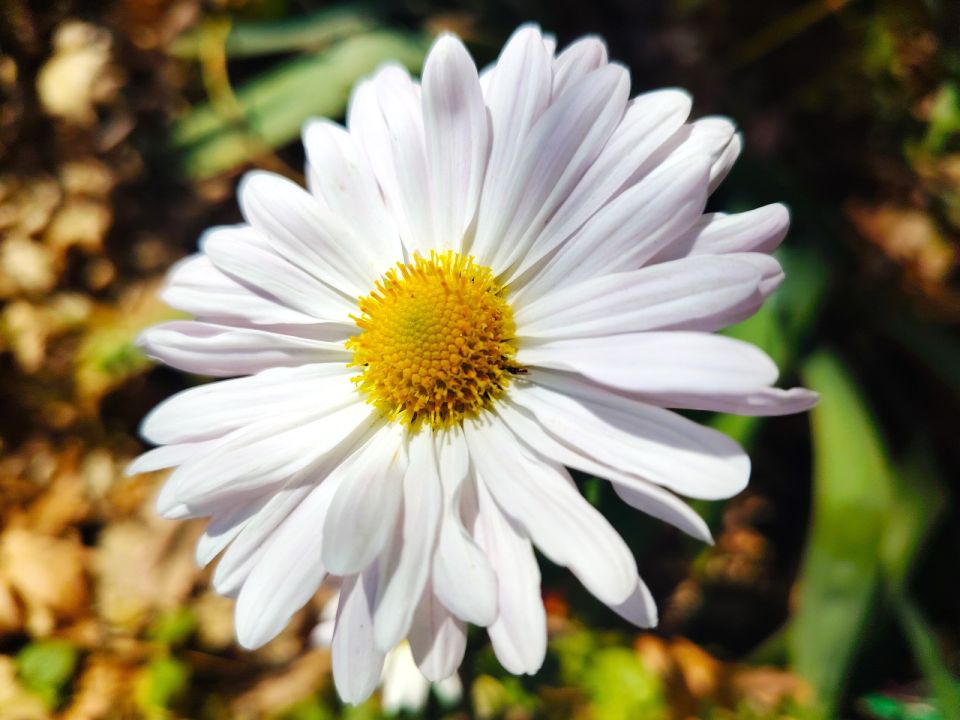 � ������ �����, �������!. ����� � ��� �� ����� ������ � ����, � ����������, � ��������! ������� � �������� �����������, t + 8 - +12, ����� ������, ������-��������