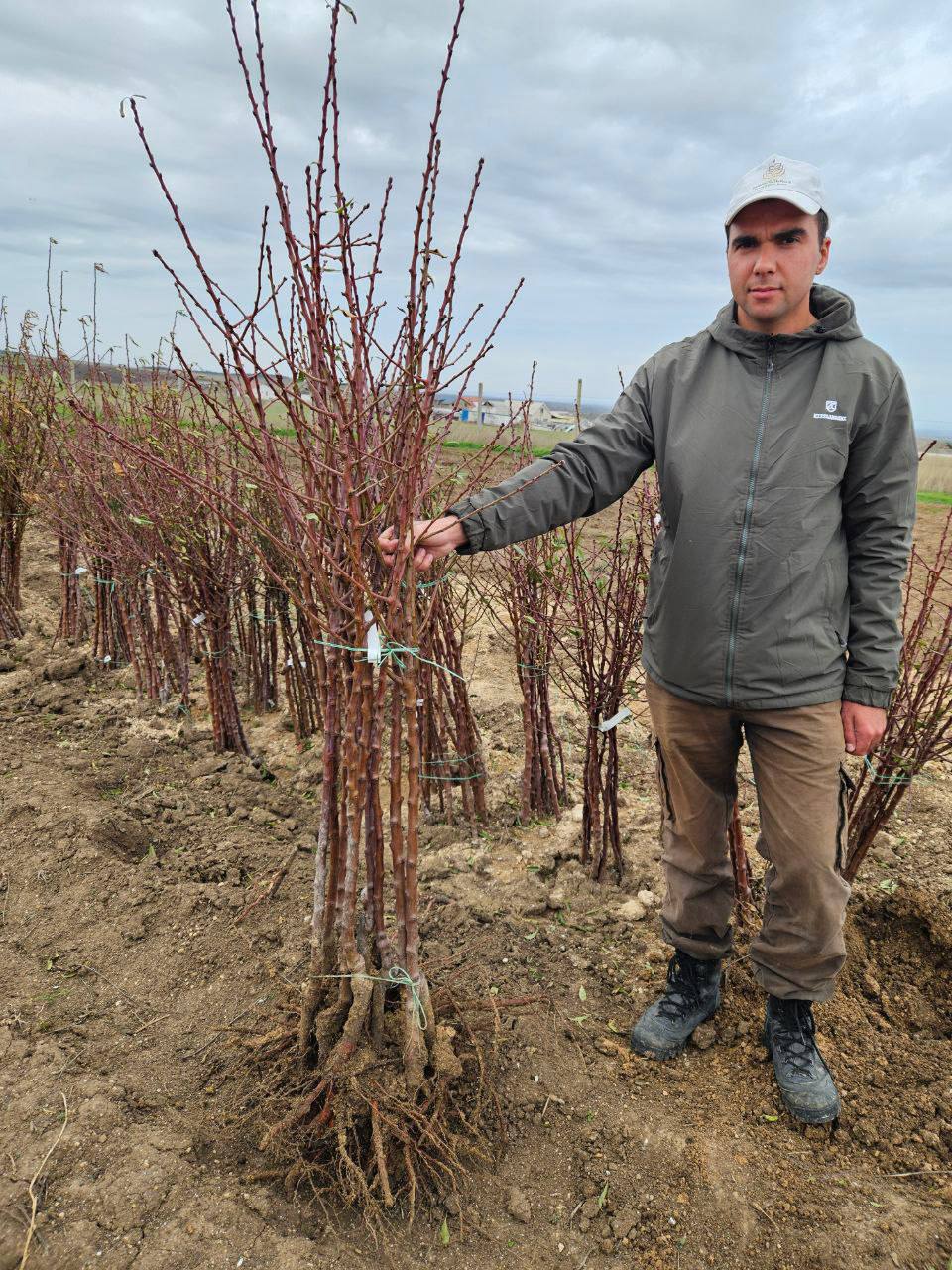 Сельское хозяйство — это не просто отрасль экономики Сельское хозяйство — это не просто отрасль экономики
