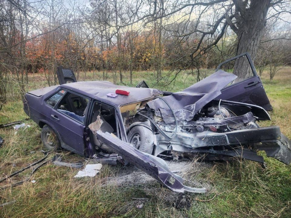В Советском районе водитель врезался в дерево и погиб на месте