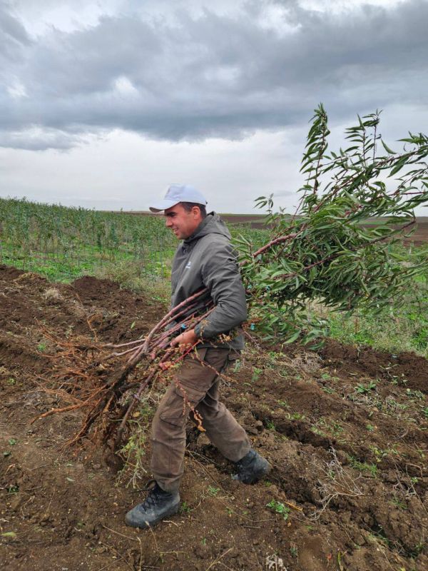 �������� ��������� � ��� �� ������ ������� ���������