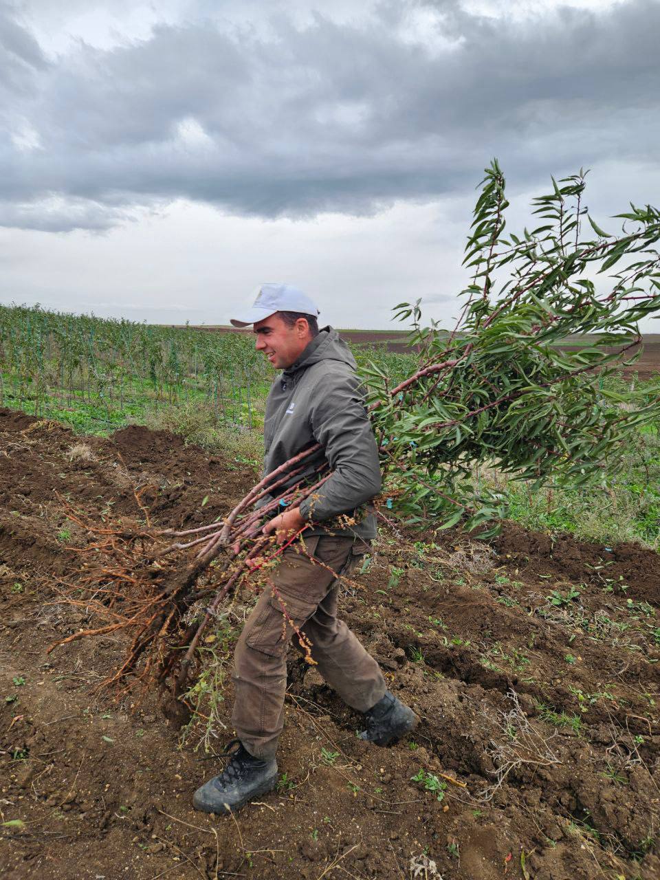 Сельское хозяйство — это не просто отрасль экономики Сельское хозяйство — это не просто отрасль экономики