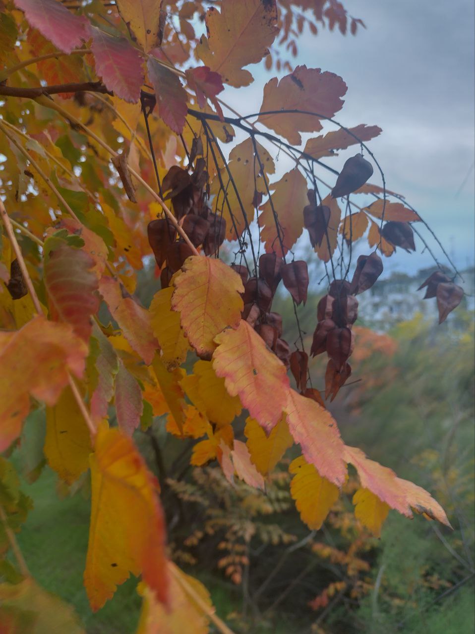 Погода в Крыму и Севастополе бьёт рекорды