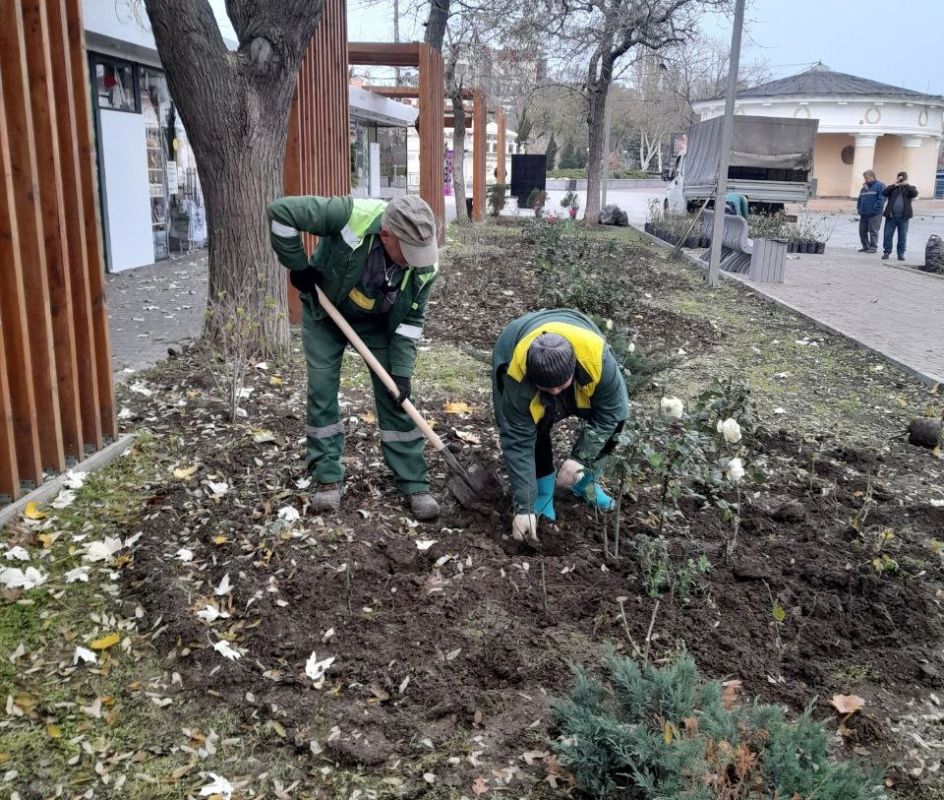В Феодосии продолжается работа по озеленению