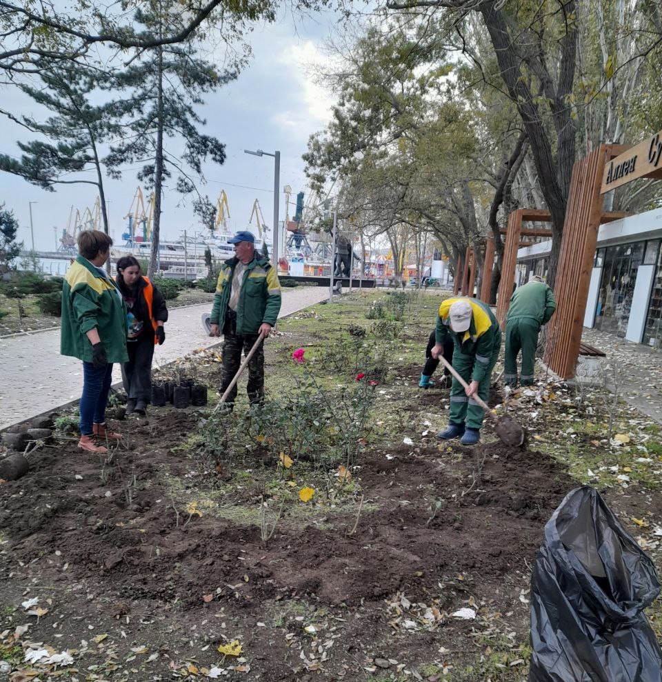 В Феодосии продолжается работа по озеленению В Феодосии продолжается работа по озеленению
