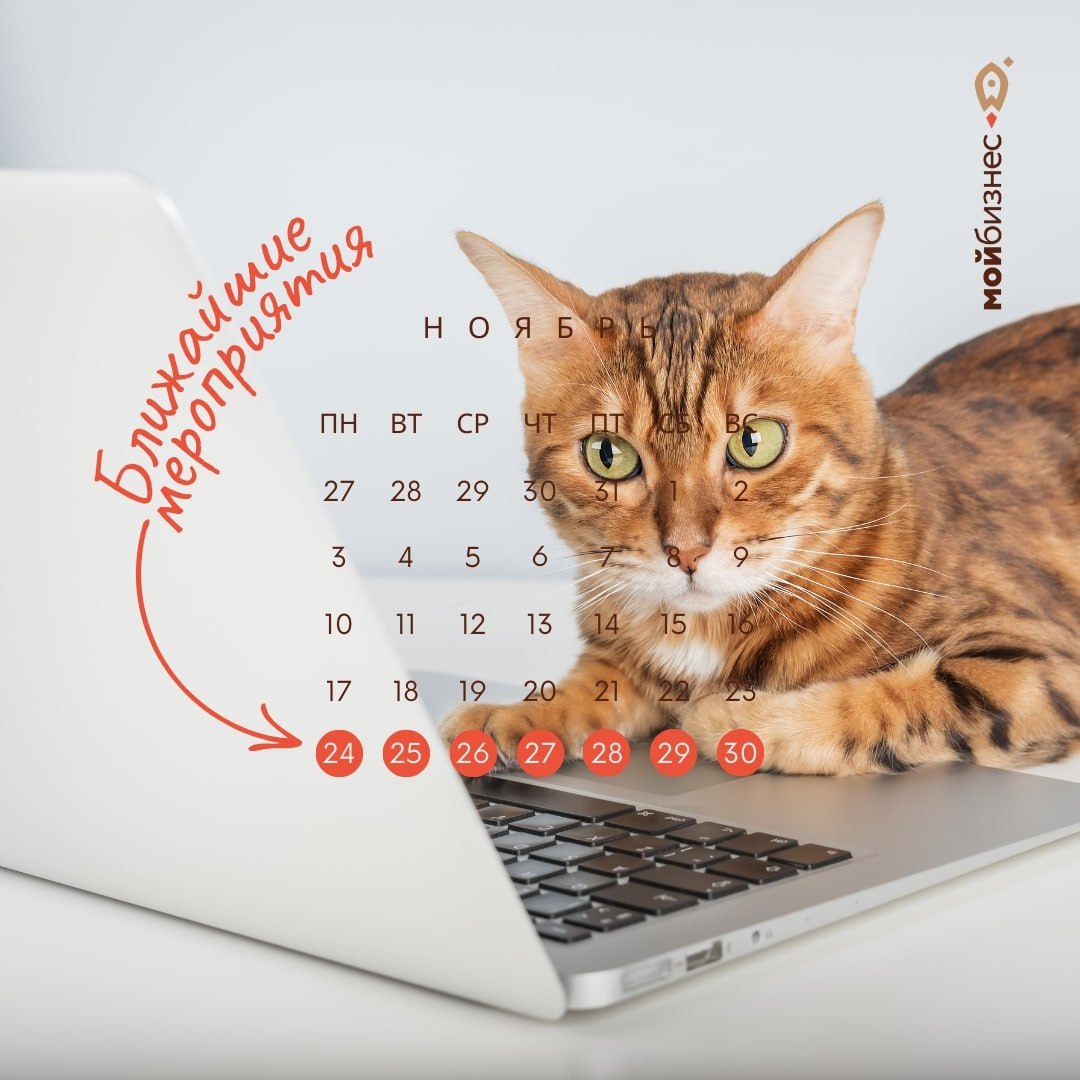 Ближайшие мероприятия: 24 – 30 ноября