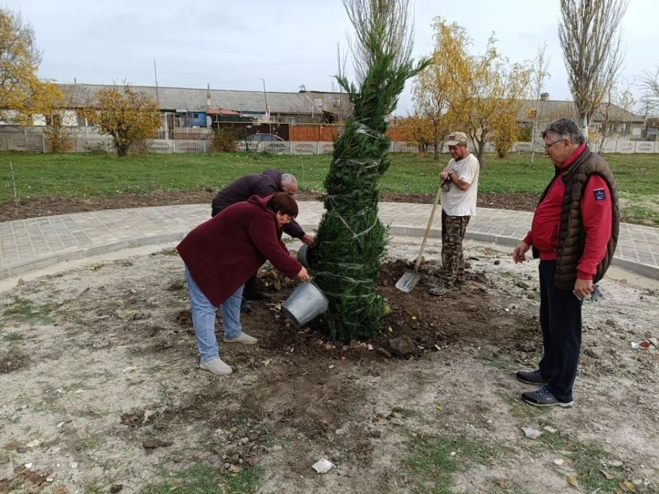 � ������������ ������ ������������ ������ �� ���������� � ��������������� ����������