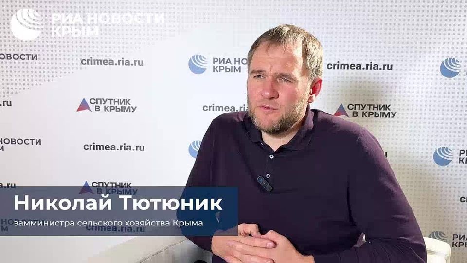 Искусственный интеллект начали внедрять в сельскохозяйственных отраслях Крыма