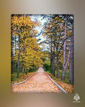 О погоде на полуострове. переменная облачность