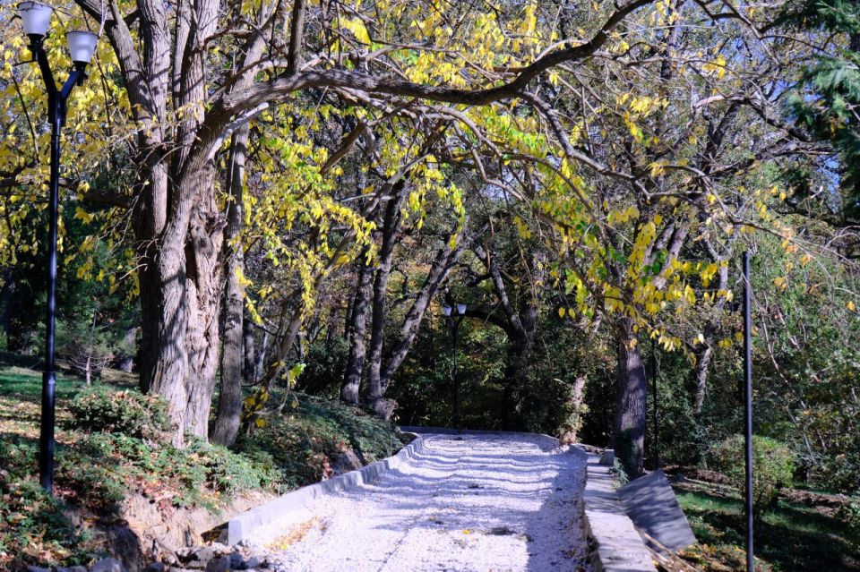 Янина Павленко: Ремонт парка-памятника садово-паркового искусства «Массандровский» движется к финалу – работы выполнены на 90%, завершение планируется до конца года Янина Павленко: Ремонт парка-памятника садово-паркового искусства «Массандровский» движется к финалу – работы выполнены на 90%, завершение планируется до конца года