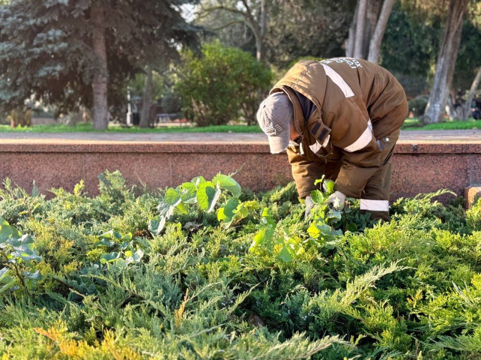 Служба городского хозяйства Керчи продолжает сезонные работы по благоустройству: проводится обрезка деревьев, формовочная стрижка кустов, а также обработка и прополка клумб Служба городского хозяйства Керчи продолжает сезонные работы по благоустройству: проводится обрезка деревьев, формовочная стрижка кустов, а также обработка и прополка клумб