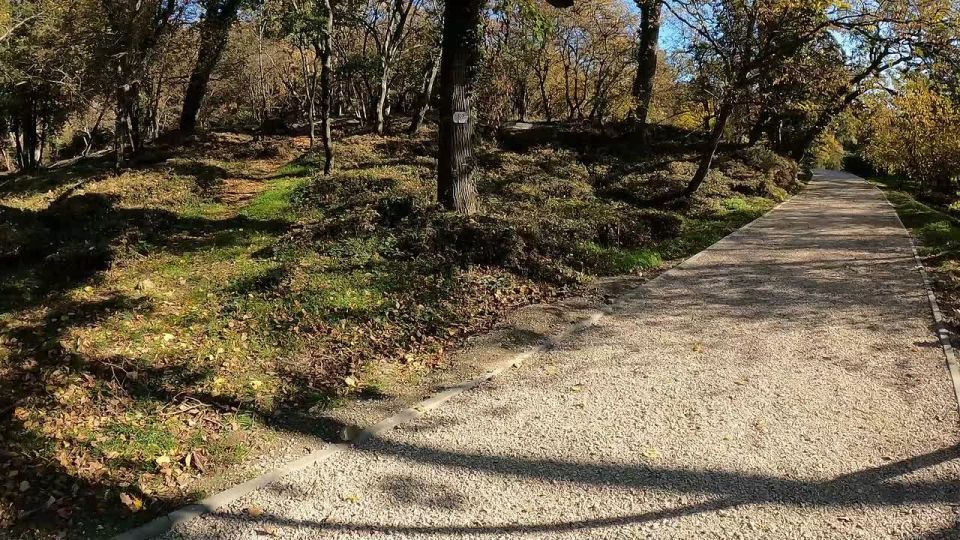 Янина Павленко: Ремонт парка-памятника садово-паркового искусства «Массандровский» движется к финалу – работы выполнены на 90%, завершение планируется до конца года