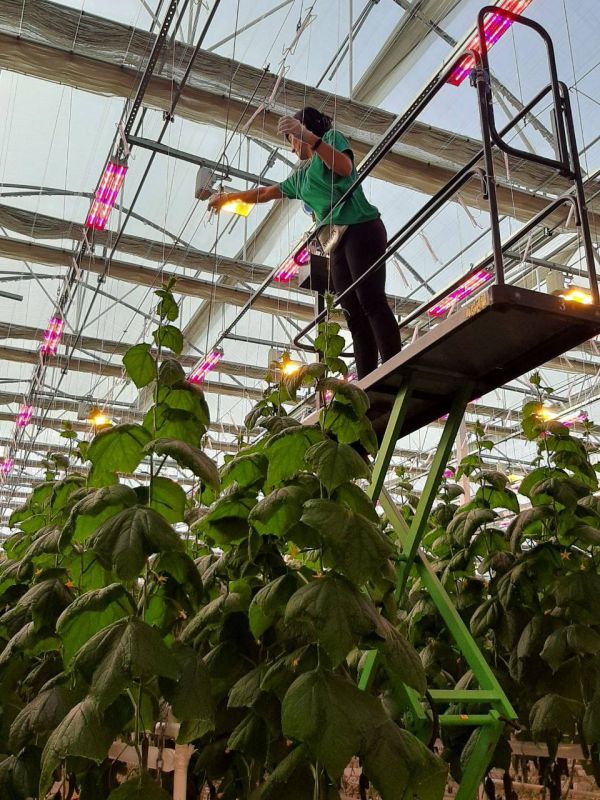 ���������� ��������������� ��������� ������ ����� ���������� �������� �������! ���������� ���������� ��������������� ��������� � ���������� ���������, ������� ���������, �������� � ��������� ��������� ��������� ������������