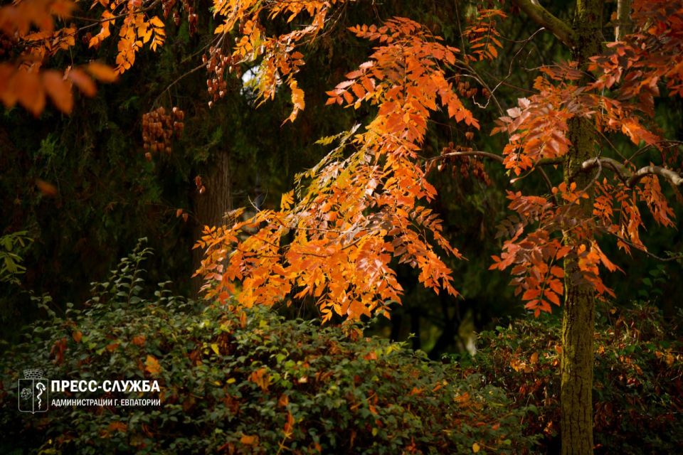 ������ ����, ���������!. ����������� ������� ���������� ������� �� +14��