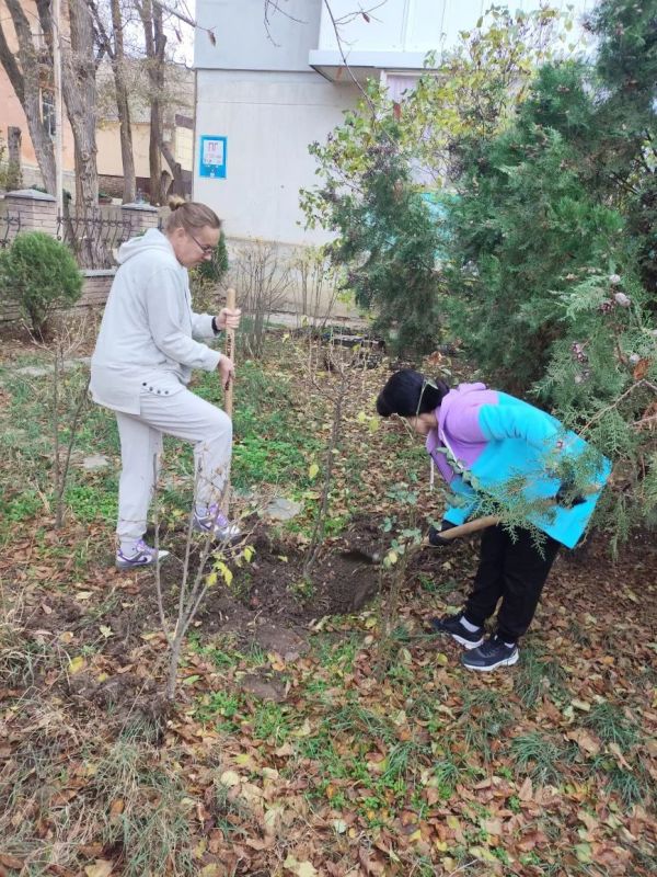 � ������������ ������ ������������ ������ �� ���������� � ��������������� ����������