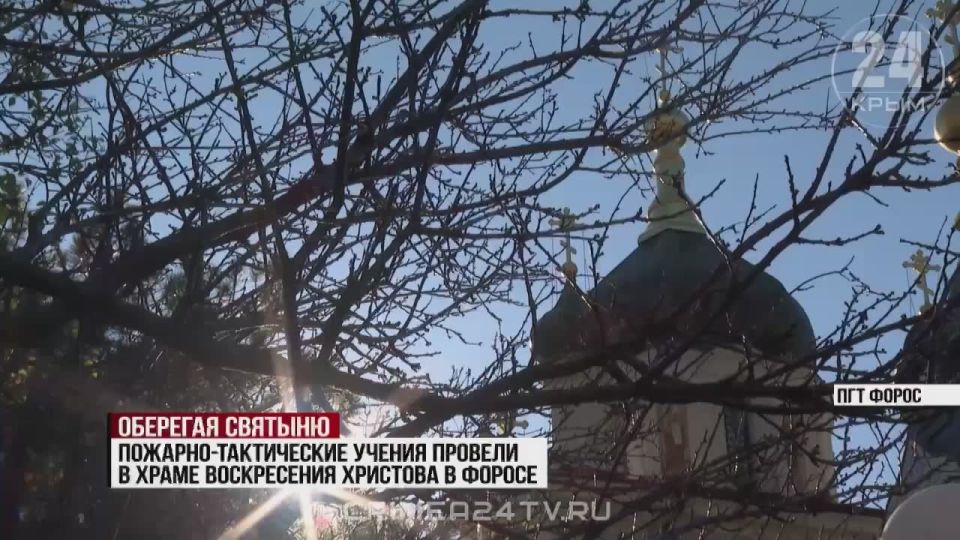 Один из символов Крыма — в опасности?