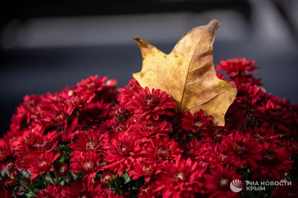 ������� ������ � ����� �� �������