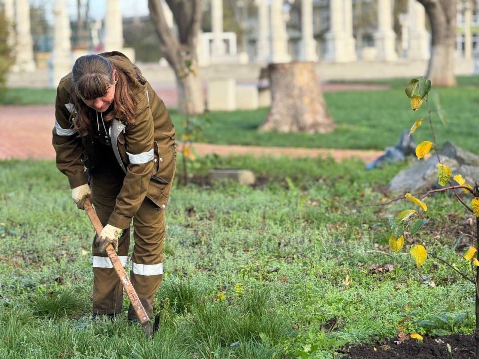 Служба городского хозяйства Керчи продолжает сезонные работы по благоустройству: проводится обрезка деревьев, формовочная стрижка кустов, а также обработка и прополка клумб Служба городского хозяйства Керчи продолжает сезонные работы по благоустройству: проводится обрезка деревьев, формовочная стрижка кустов, а также обработка и прополка клумб