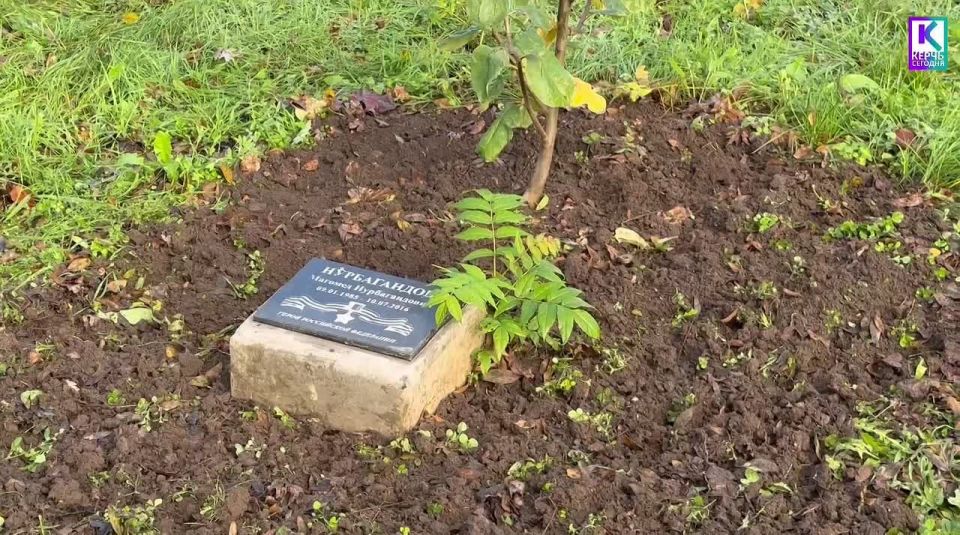 Служба городского хозяйства Керчи продолжает сезонные работы по благоустройству: проводится обрезка деревьев, формовочная стрижка кустов, а также обработка и прополка клумб