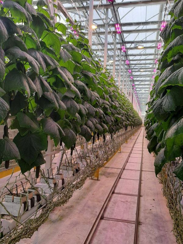 ���������� ��������������� ��������� ������ ����� ���������� �������� �������! ���������� ���������� ��������������� ��������� � ���������� ���������, ������� ���������, �������� � ��������� ��������� ��������� ������������