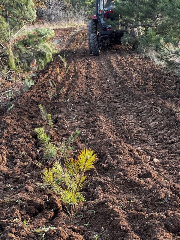 � ����� ������������ ������� � ������ ������������� ����� ��������� ���