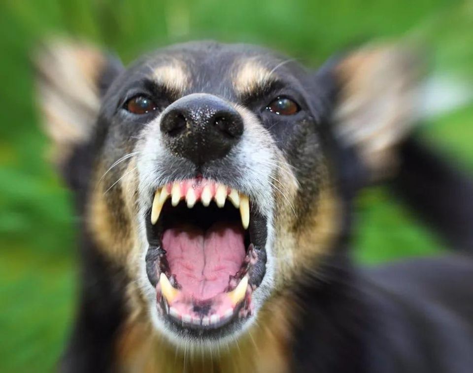 � ���������� ���� ����� ��������� �� 20 ����� ������ ��-�� ������ �������� �����