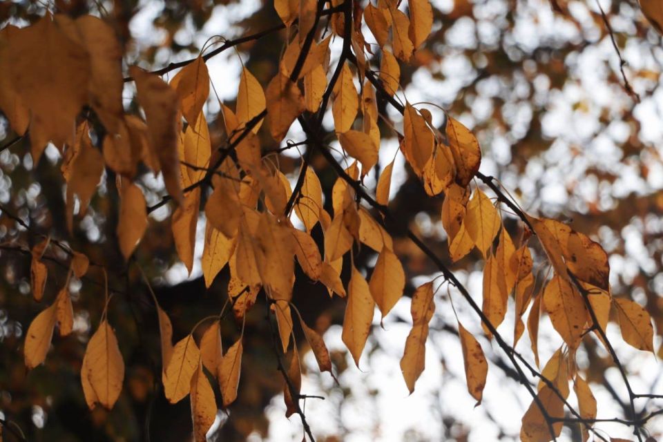 ���� �� �������� ������������ � ����� ������� ������� ���