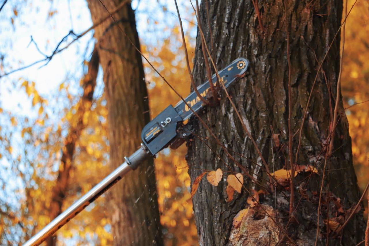 Уход за зелеными насаждениями в Керчи ведется круглый год Уход за зелеными насаждениями в Керчи ведется круглый год