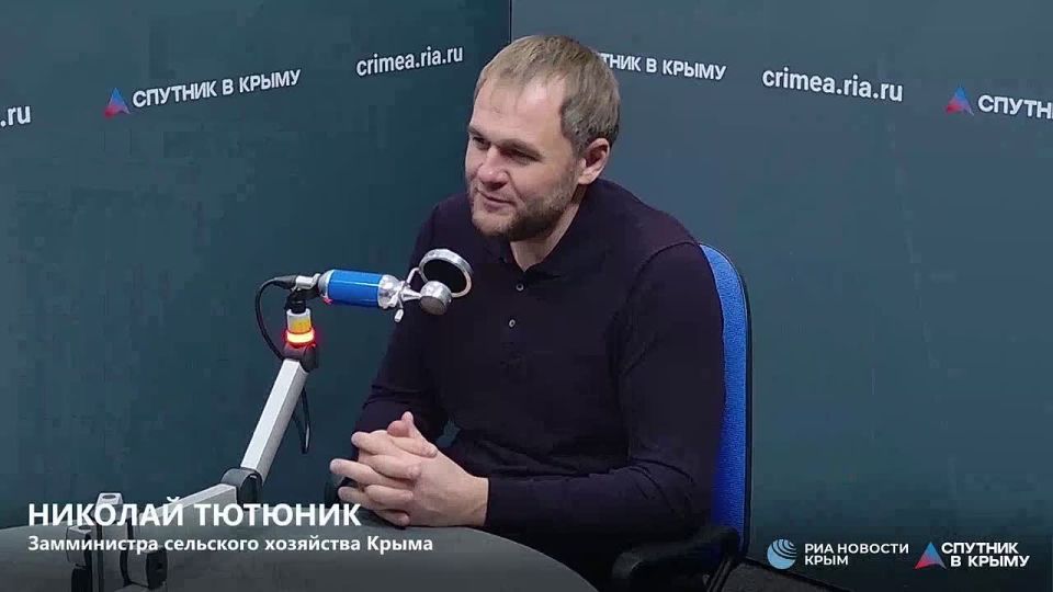 Аномальное тепло в Крыму хорошо отразилось на озимых культурах