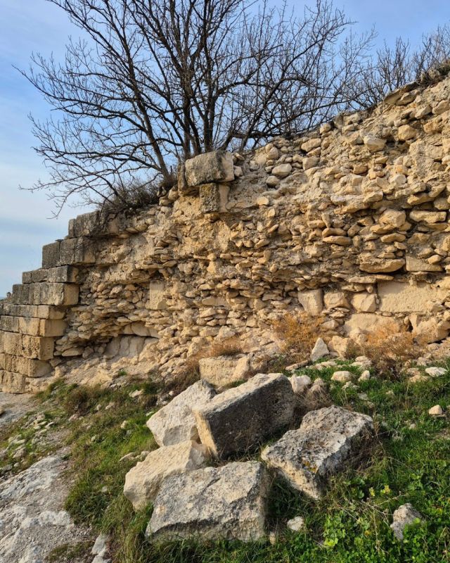 ����������� � ����������� �������� �� ���� ����-����� (�������������� �����)