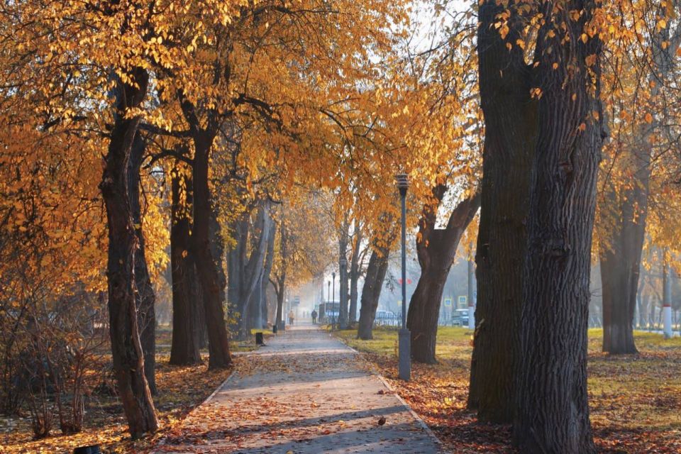 ���� �� �������� ������������ � ����� ������� ������� ���