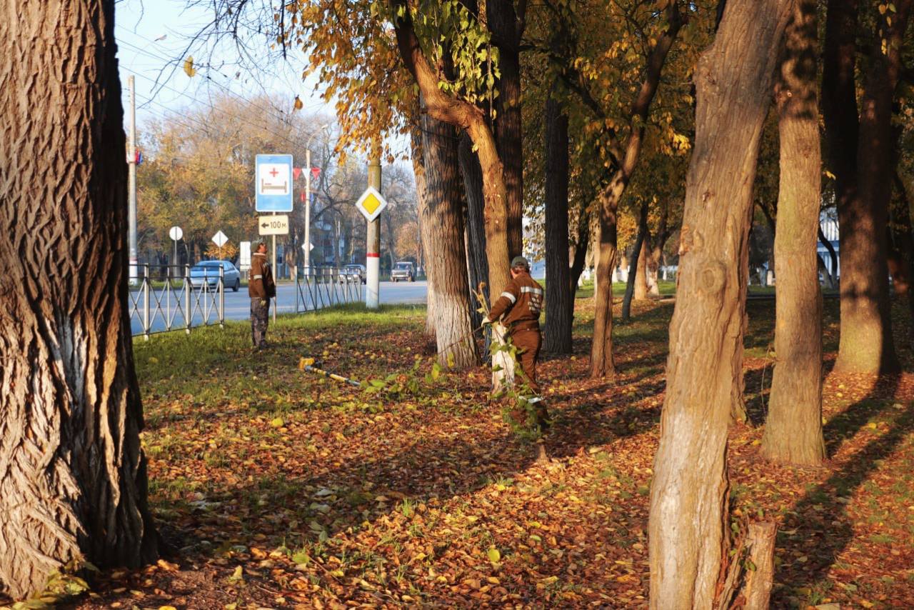 Уход за зелеными насаждениями в Керчи ведется круглый год Уход за зелеными насаждениями в Керчи ведется круглый год