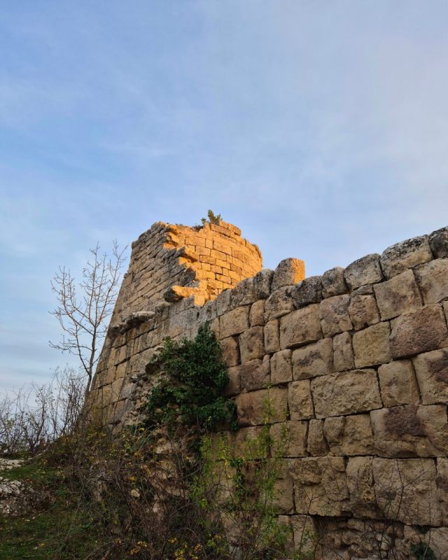 ����������� � ����������� �������� �� ���� ����-����� (�������������� �����)