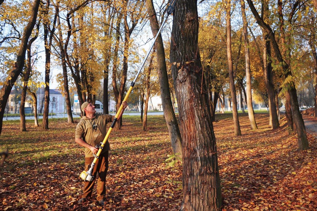 Уход за зелеными насаждениями в Керчи ведется круглый год Уход за зелеными насаждениями в Керчи ведется круглый год