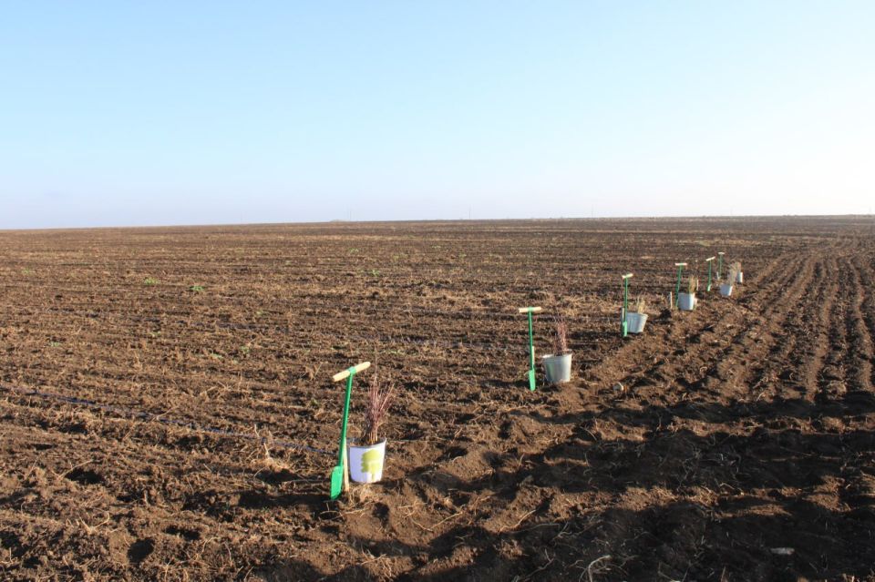 � ����� ������������ ������������� ����� ��������� ���