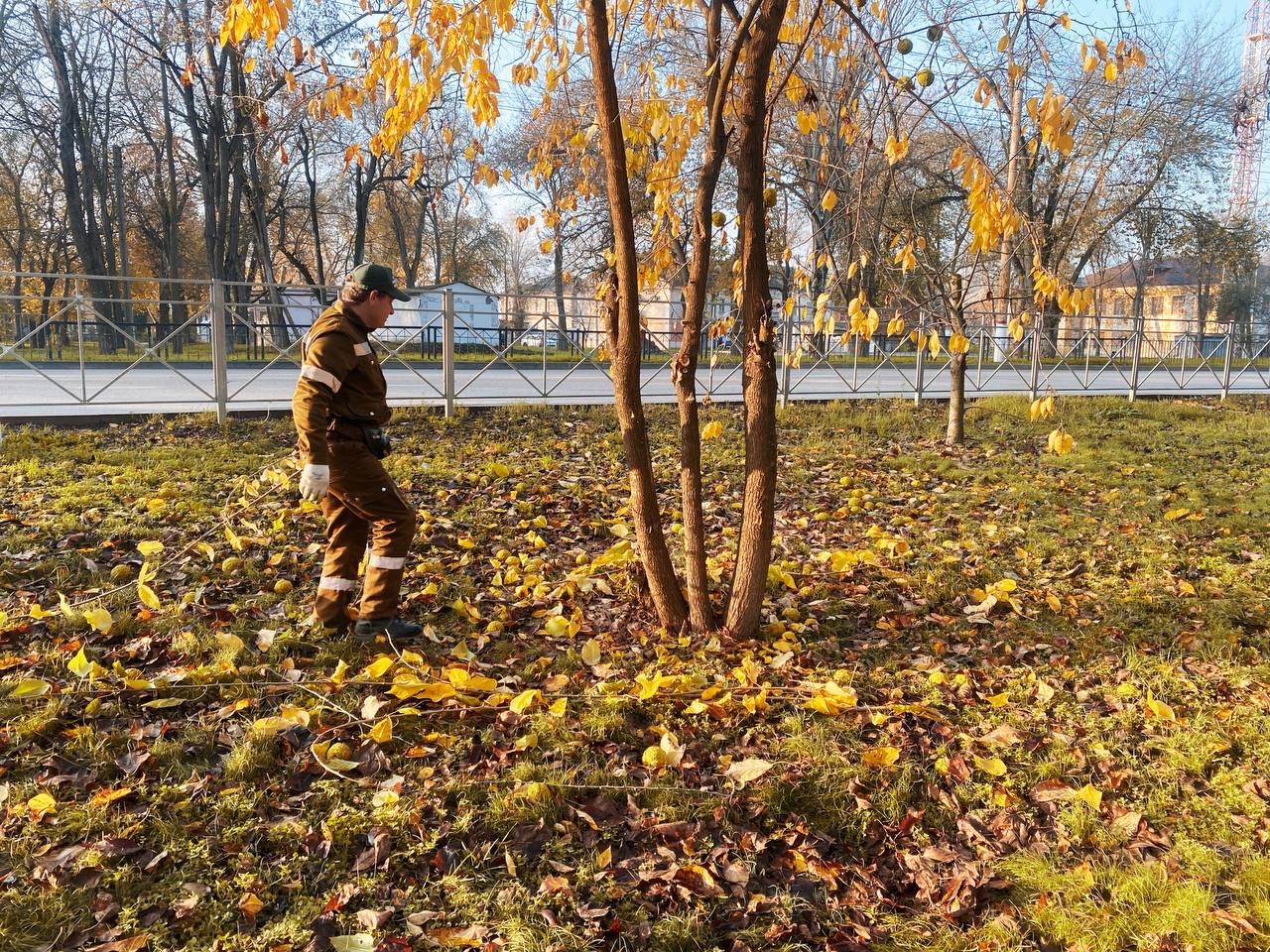 Уход за зелеными насаждениями в Керчи ведется круглый год Уход за зелеными насаждениями в Керчи ведется круглый год