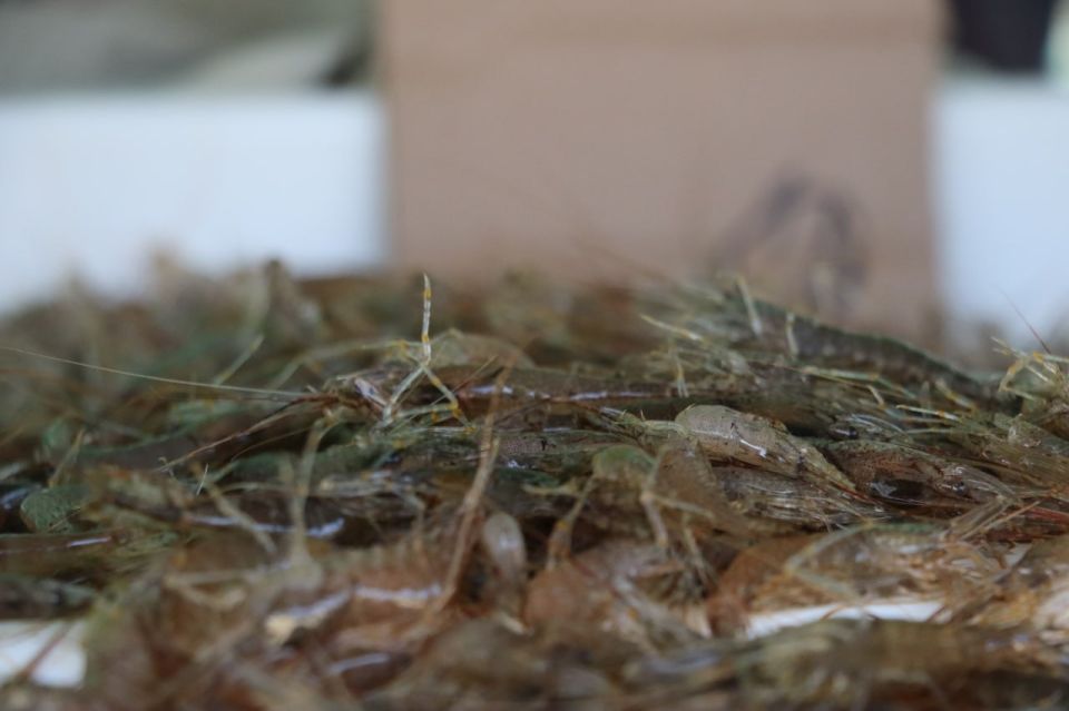 Сотрудники управления муниципального контроля продолжают регулярные профилактические рейды по пресечению незаконной торговли Сотрудники управления муниципального контроля продолжают регулярные профилактические рейды по пресечению незаконной торговли