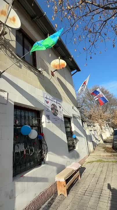 Валерия Петрусевич: Место, где поддержка превращается в спасенные жизни!