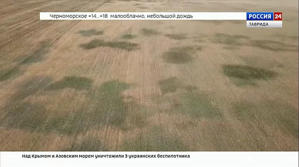 В Симферопольском районе владельцы почти 50 гектаров сельскохозяйственных земель оштрафованы на 145 тысяч рублей