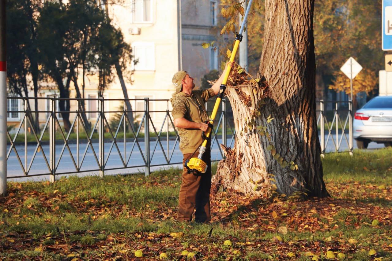 Уход за зелеными насаждениями в Керчи ведется круглый год Уход за зелеными насаждениями в Керчи ведется круглый год