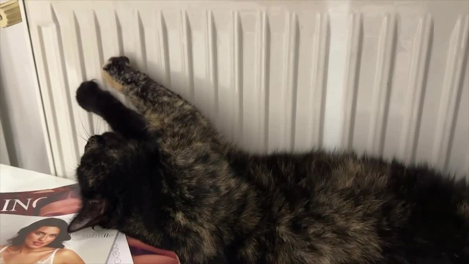 ����� ��������: � ����� ����� ����������: ����������� ���������� � +24 �� +19