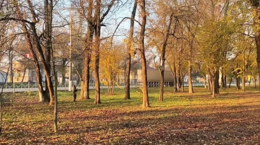 Уход за зелеными насаждениями в Керчи ведется круглый год