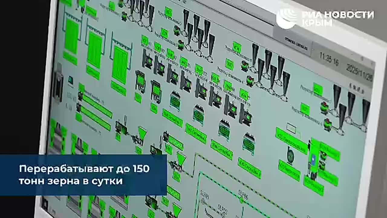 Как в Крыму делают муку из пшеницы? Мы расскажем и покажем!