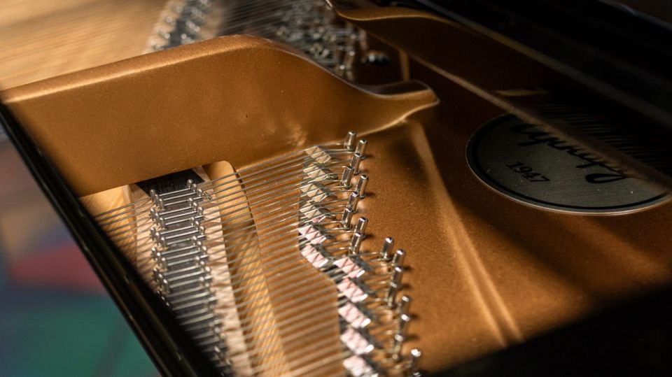 � ����� ������� 6 ���� ��������