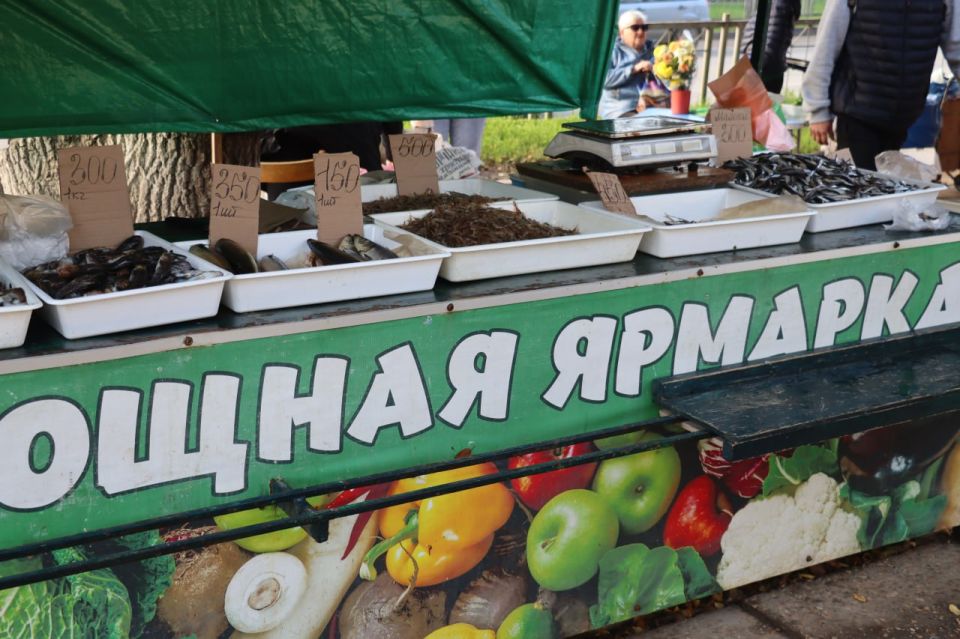 ���������� ���������� �������������� �������� ���������� ���������� ���������������� ����� �� ���������� ���������� ��������