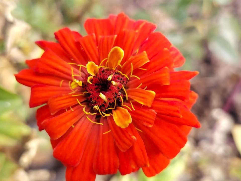 � ������ �����, �������!. ����� ��� ���� ����� �������� ��������� ����������� ��������! ������� � �������� ����, t +7 - +14, ����� ������, ���-���������