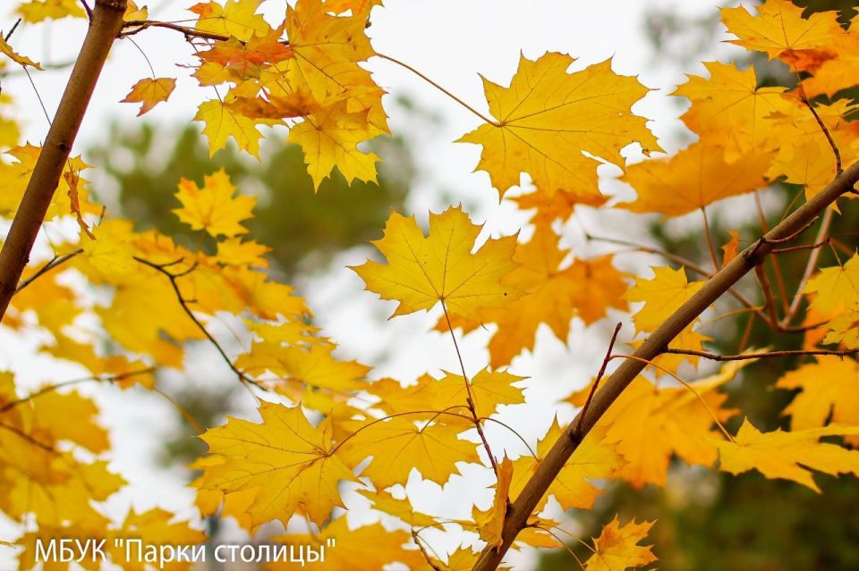 Уютная осень в сквере на бульваре Ленина