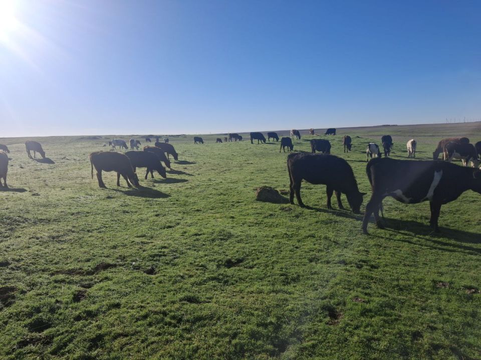 ��������� ����������� ����� � ������ �������� ������ �������� ������������ (����������) ��������� ��������������� ��������������� ������� �������, ������������� � ���� ������� ���������������� ������