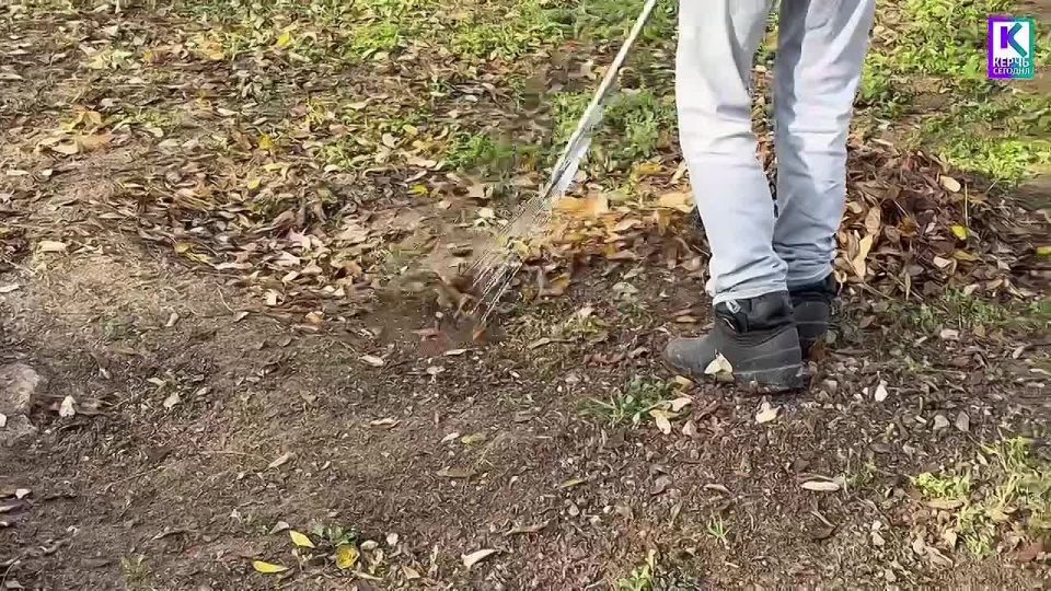 Более 200 человек ежедневно выходят на уборку городских улиц и межквартальных пространств