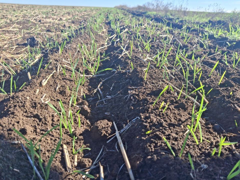 ��������� ����������� ����� � ������ �������� ������ �������� ������������ (����������) ��������� ��������������� ��������������� ������� �������, ������������� � ���� ������� ���������������� ������